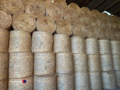 25x Round bales of quality wheat straw, approx 4ft, collection from HU18 1