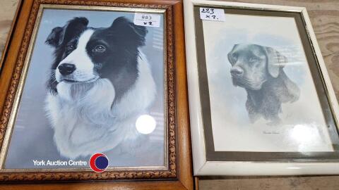 2 framed dog pictures