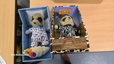 2 Compare the Meerkat One Oleg meer-pup and one Meerkat Safari Oleg both with certificates