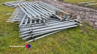 Palisade fencing - 2