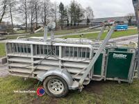 Prattley mobile sheep race c/w pins - 5