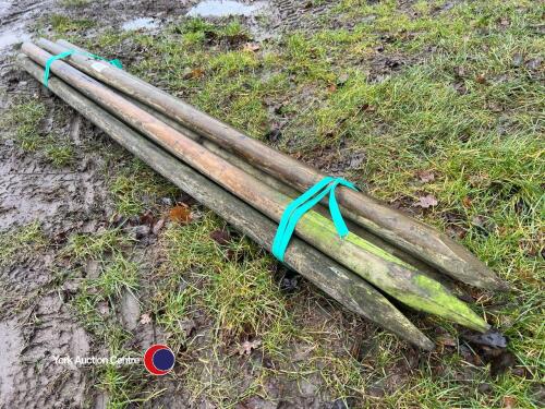10 x 2.1m x 60mm treated fencing posts