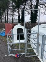 Calf hutch c/w Teemore HD galvanised pen - 3