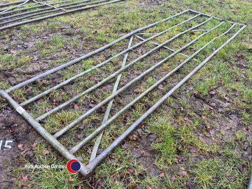 Galvanised steel gate 12ft