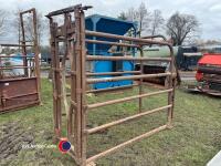 Cattle crush