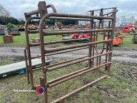 Cattle crush - 3