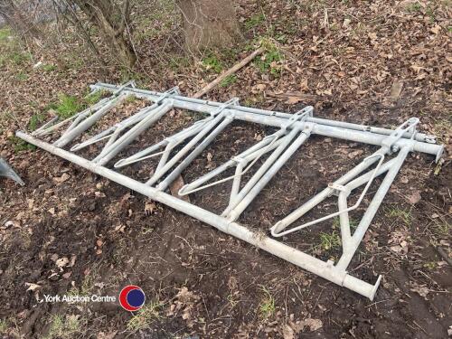 IAE 10ft head lock/barrier for cattle