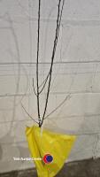 Apricot Tros Orange self fertile, bare root - 2