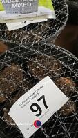 10 x Begonia double mixed