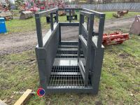 Forklift man cage - 5