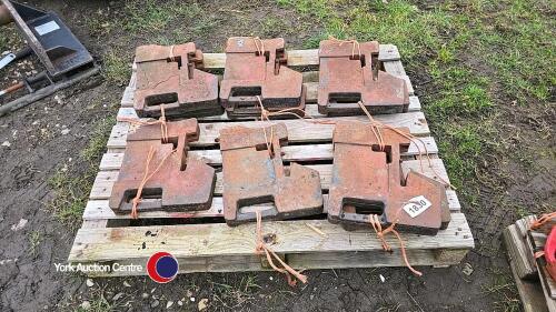 Full set of 10 International weights