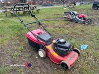 Mountfield push mower