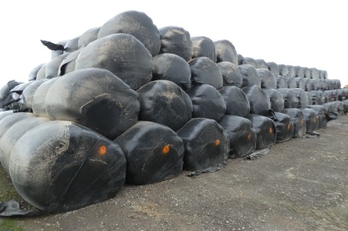 20 x bales wrapped silage