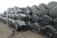 20 x bales wrapped silage - 2