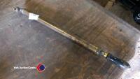 Antique brass garden sprayer