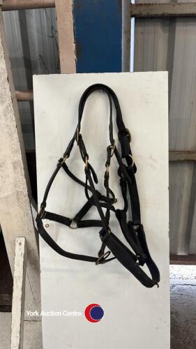 2x Full leather headcollars