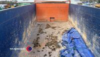 Ken Wootton 10T grain trailer, good condition - 7