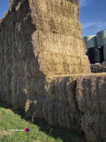 50 x hay bales suitable for bedding. Collection from HG3 2LT