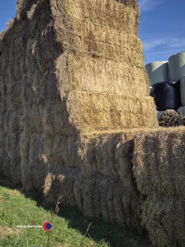 25 x hay bales suitable for bedding. Collection from HG3 2LT