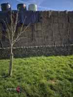 25 x hay bales suitable for bedding. Collection from HG3 2LT - 4