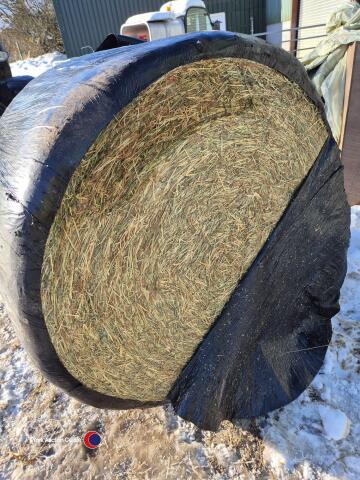 20 x round bale haylage, new seeds. Collection from HG3 2LT
