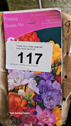 125 bulbs, Freesia, double mixed