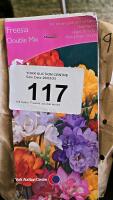 125 bulbs, Freesia, double mixed
