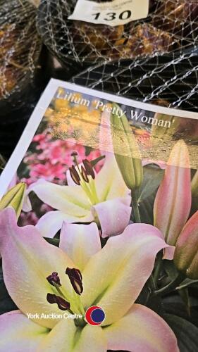 10 bulbs, Lily Pretty Woman