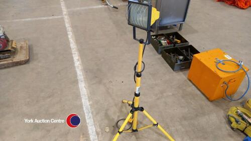 Flood light