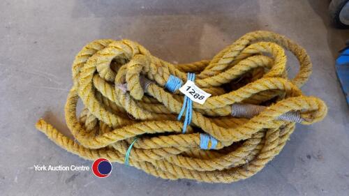 2 x heavy duty ropes