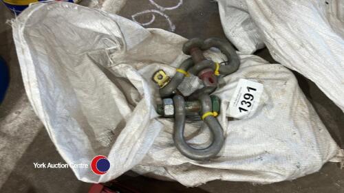 10 x lifting shackles, new