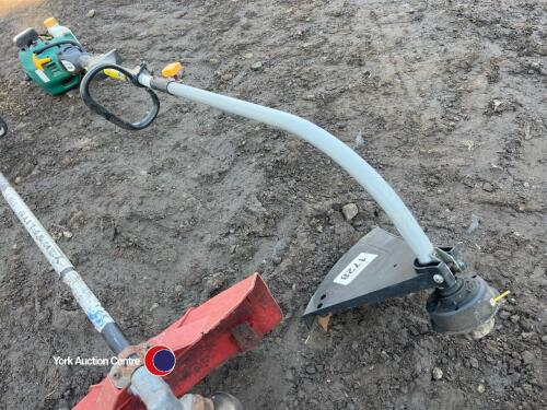 Strimmer