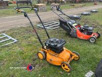 Mulching motor mower - 2