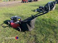 Laser Omega lawnmower - 3