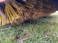Bobcat 5ft bucket brush, vgc - 5
