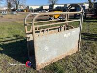Ritchie calf crush