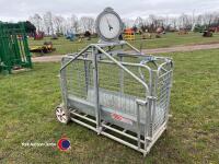 Ritchie lamb weigh, very little use