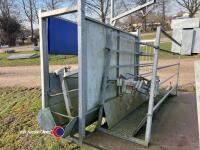 Harrington sheep handling trailer - 5