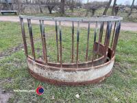Sheep ring feeder with pins