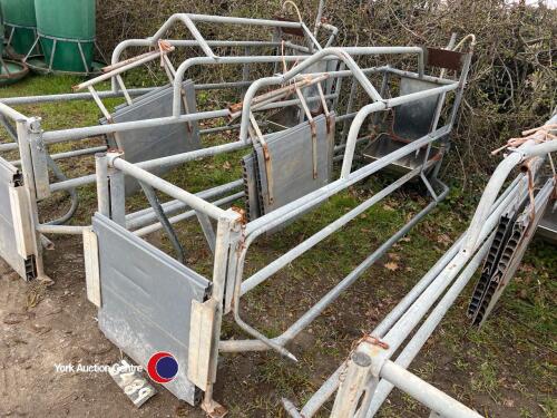 Farrowing create with backs