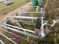 Farrowing create with backs - 3