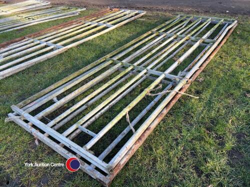 2 x Ritchie 12ft steel gates