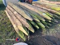 25 x fencing posts - 3