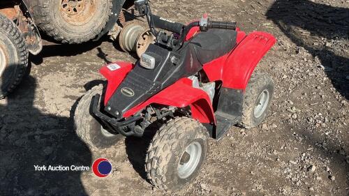 Childs quad bike