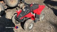 Childs quad bike