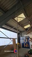 Oak tree - container grown 10-12ft