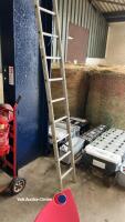 Aluminium ladder - 11ft (3.3mt) - 2
