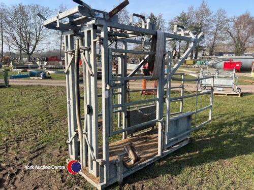 IAE cattle crush, front and rear winches for foot trimming, excellent condition