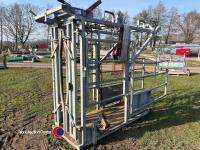 IAE cattle crush, front and rear winches for foot trimming, excellent condition