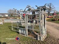 IAE cattle crush, front and rear winches for foot trimming, excellent condition - 2